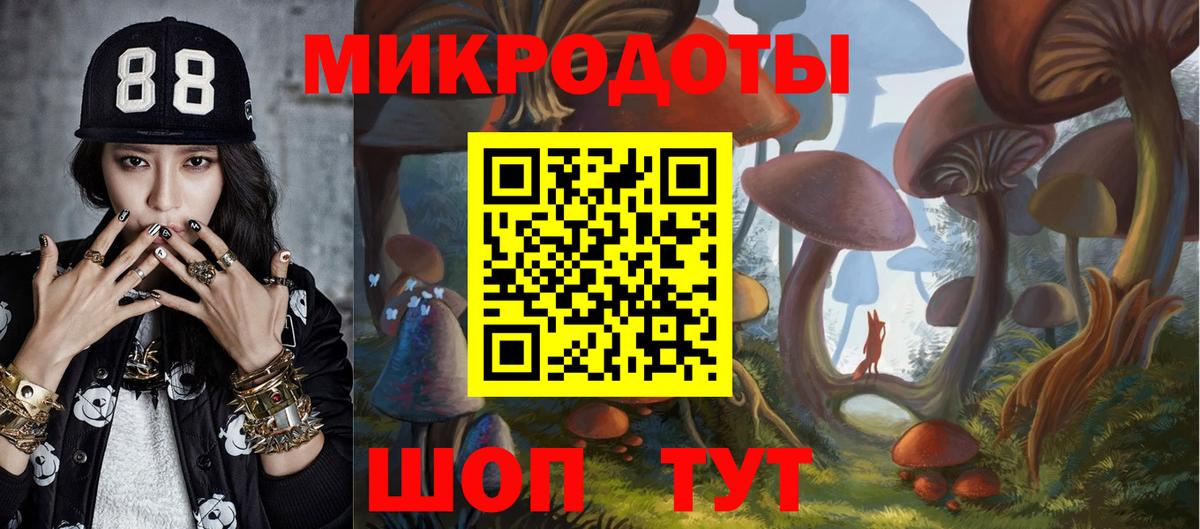 Галлюциногенные грибы прущие грибы  Вход с VPN  Галлюциногенные грибы Psilocybe  Пушкино 