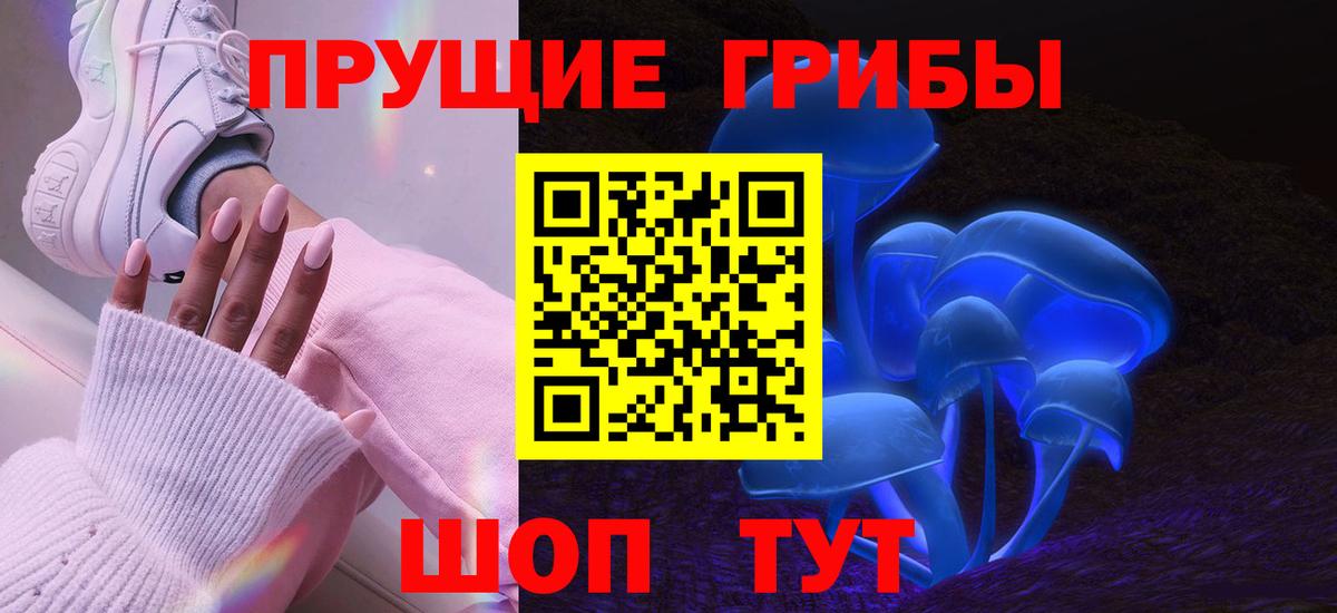 Псилоцибиновые грибы GOLDEN TEACHER Пушкино